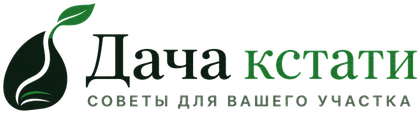 Дача кстати
